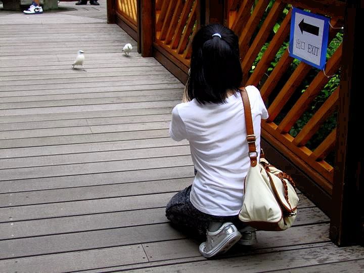 Yuen Lam Tsang