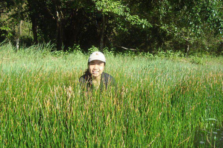 Thuy Chau Vu