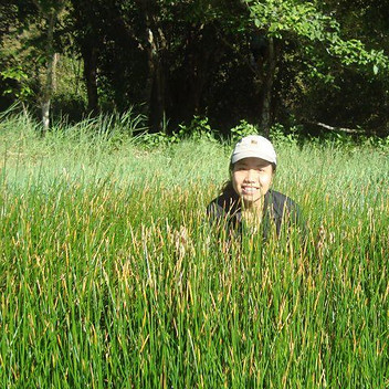 Thuy Chau Vu