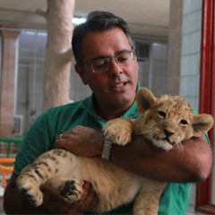 pejman norouzi