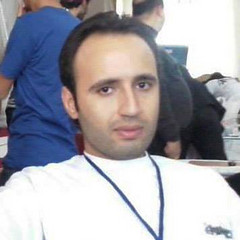 Wajdi Bessassi