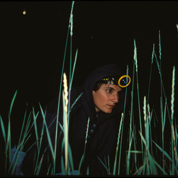 Sara Lewis
