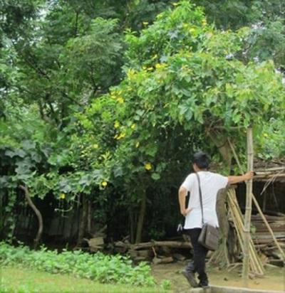 Hoàng Triều Trịnh
