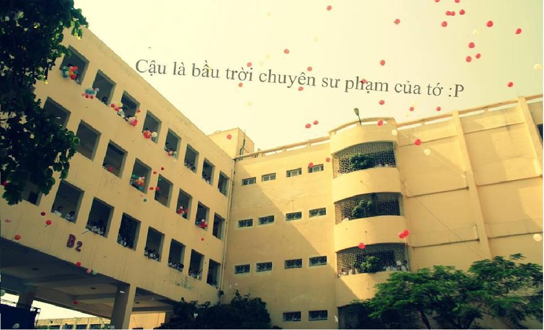 SaMy Linh