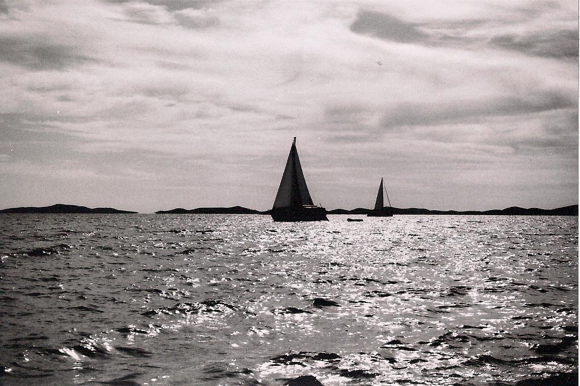 Steffi Krage