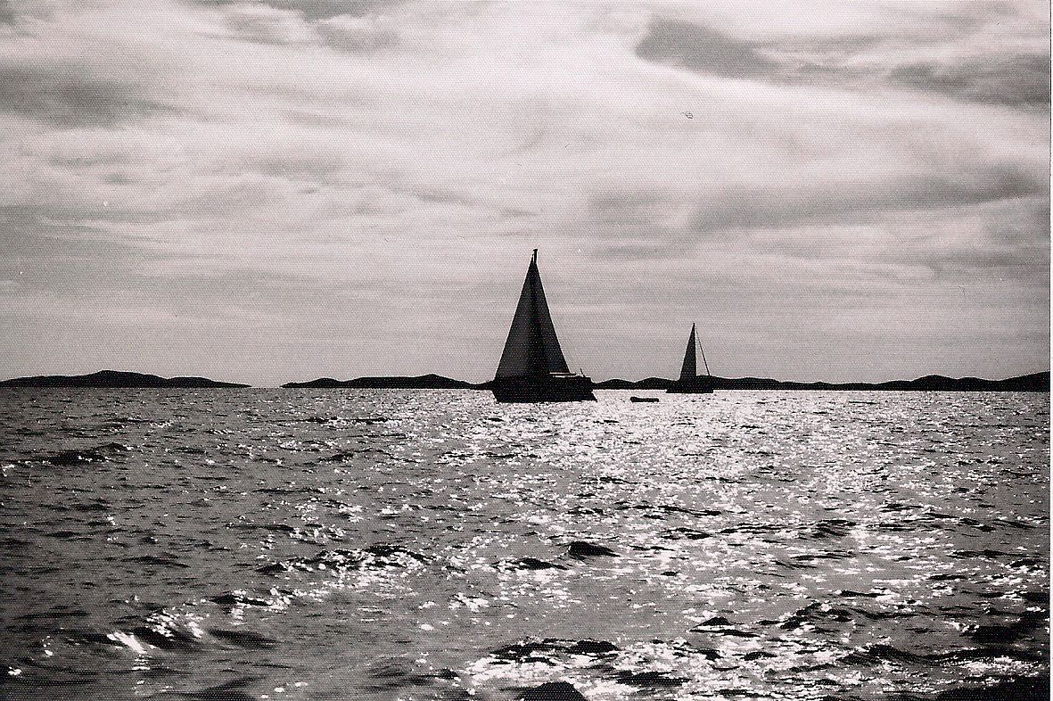 Steffi Krage