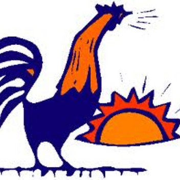 Nam Nguyen Cong