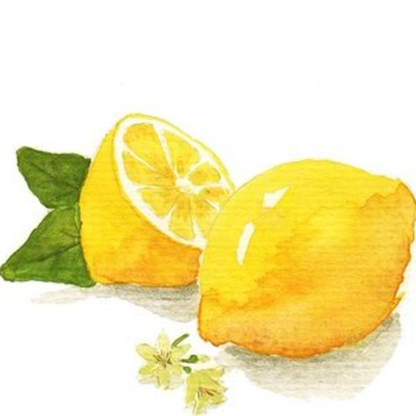 Yumeng Guo