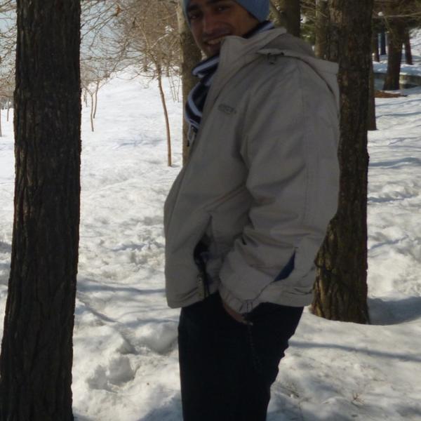 Ali Hosseini
