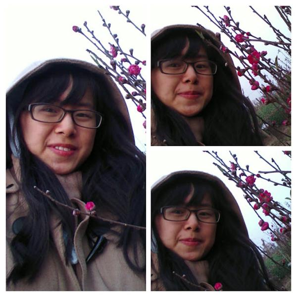 Linh Vũ