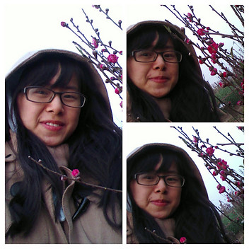 Linh Vũ