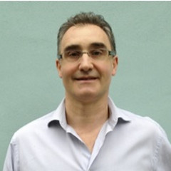 Michele Muccini