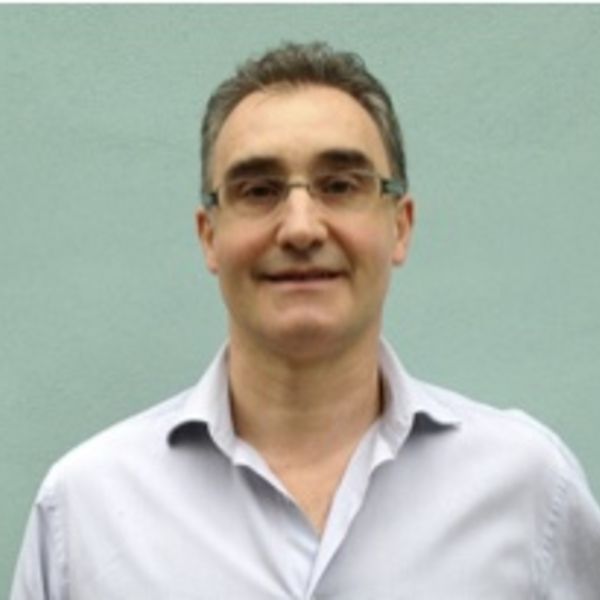 Michele Muccini