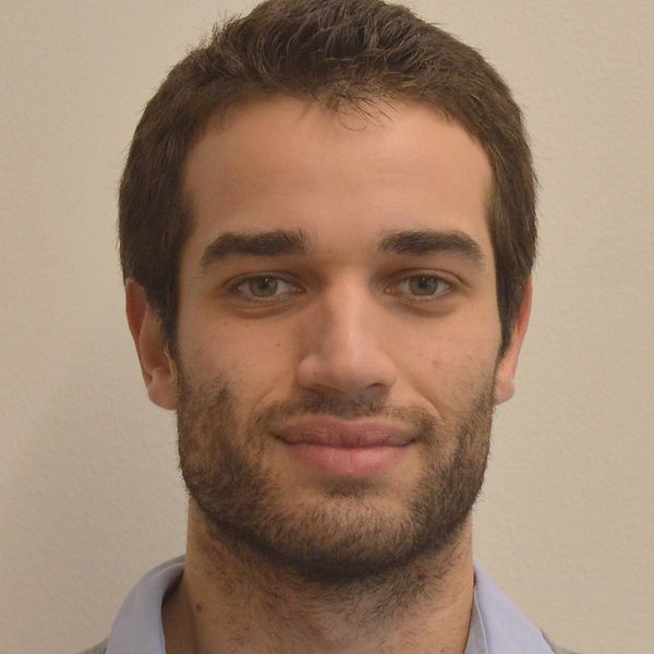 Miroslav P. Marchev