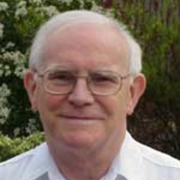 Allan Hayes