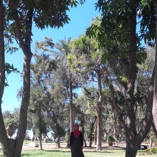 Esraa Mahmoud 
