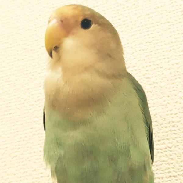 Kumiko Funatsu