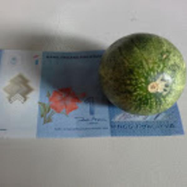 黃至磊 Ng Zi Le