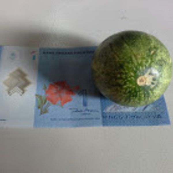 黃至磊 Ng Zi Le