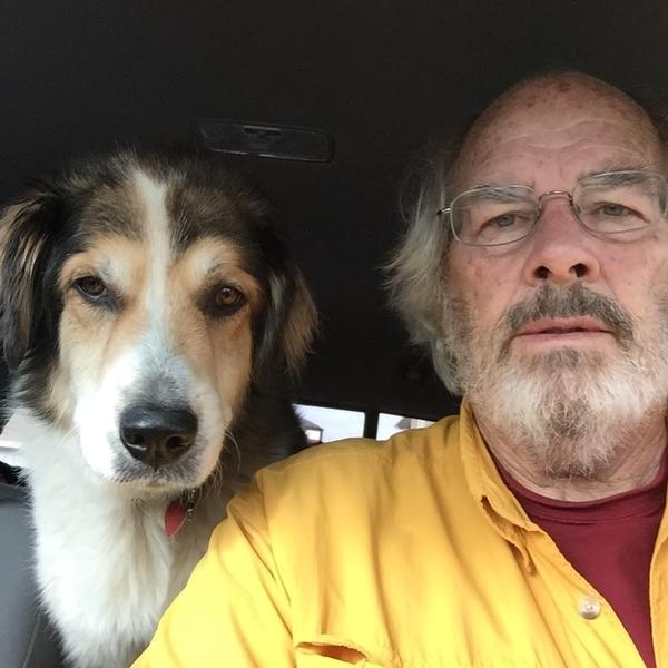 Jack Horner