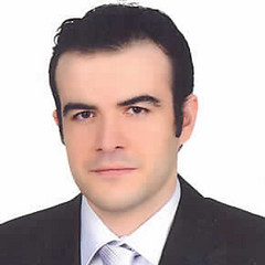 Mustafa Emre ERCİN