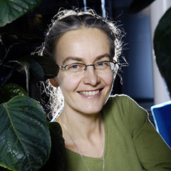 Pirkko Heikinheimo
