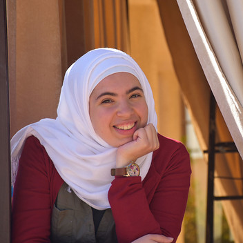 Alaa AL-swaid