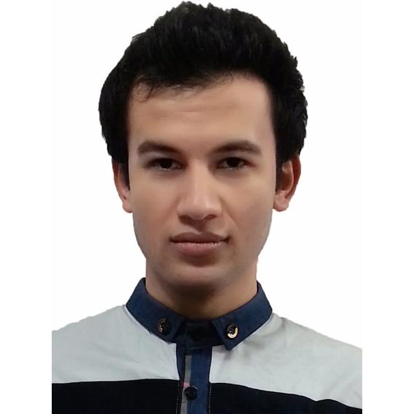 Nima Pourreza