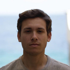 Dimitris Despotidis