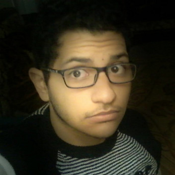 Mahmoud Abd Elghany