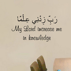 Wafa Alshmmari