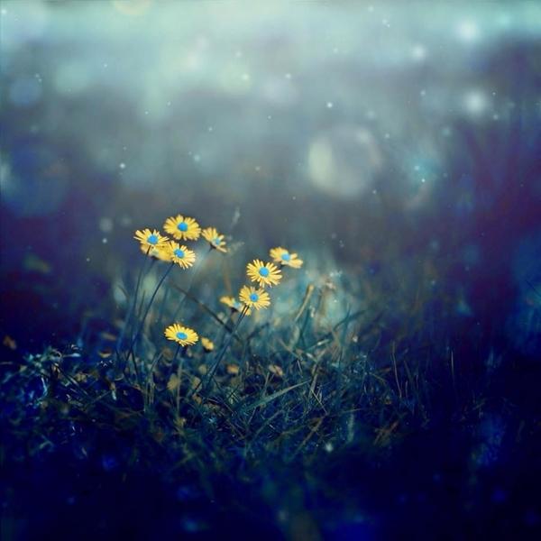 Ngoc Truong