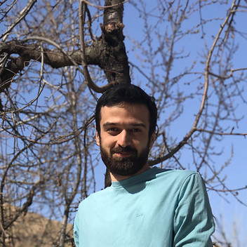 Mohsen Adli