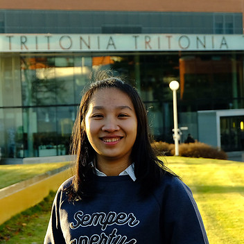 Trinh Dinh