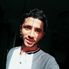 Muhammad Gamal
