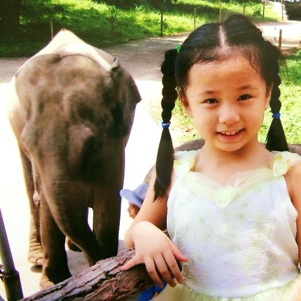 ShaoJing Lu