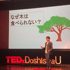 Shota Yoshida