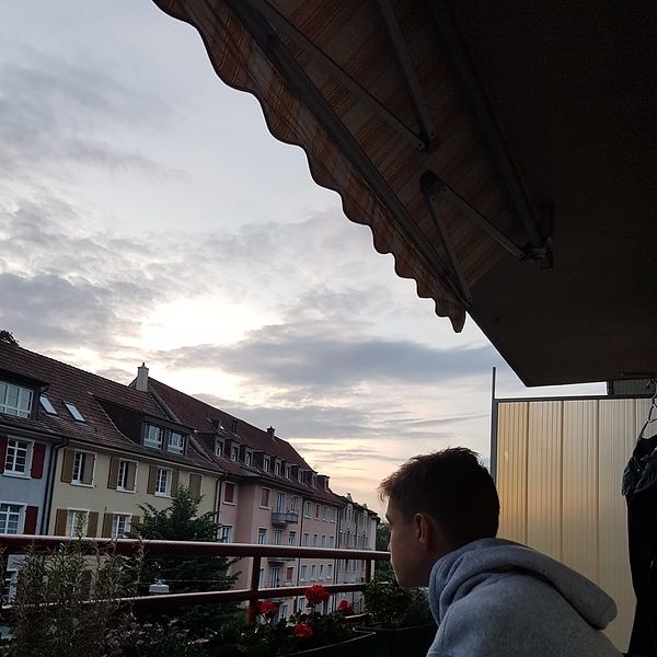 Branko Stajic