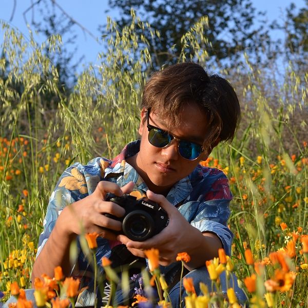 William Zhao
