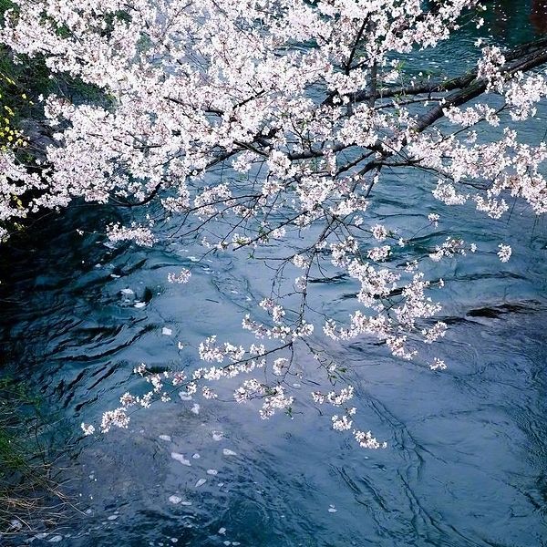 Shiyuan Ren
