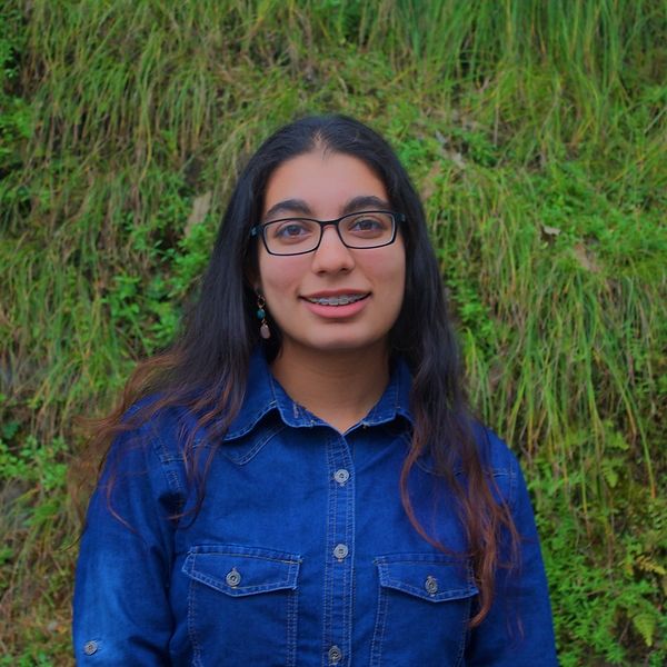 Navya Sethi