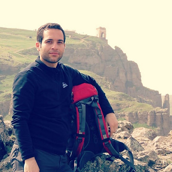 seyed Reza Bathaei