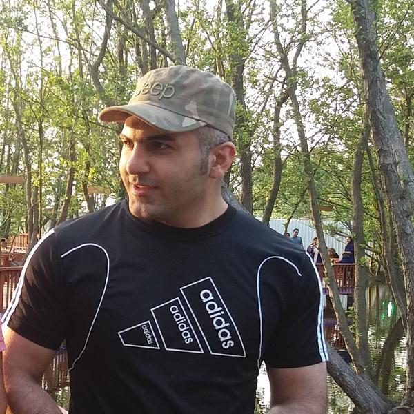 hamed n