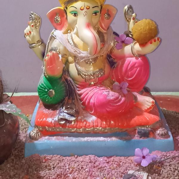 sathvara rajvi