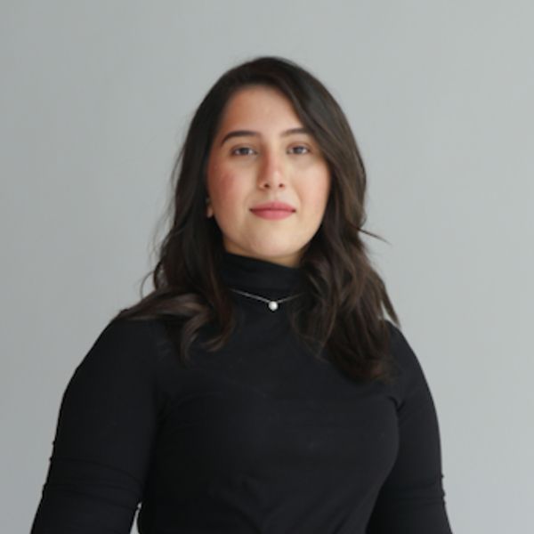 Mahin Tariq