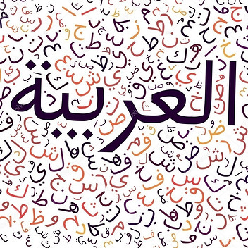 Fatima Zahra El Hafa