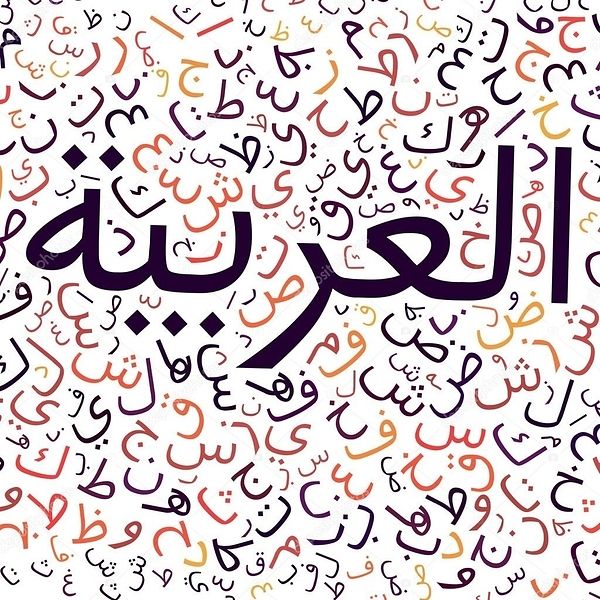 Fatima Zahra El Hafa