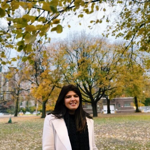 Areej Mehdi