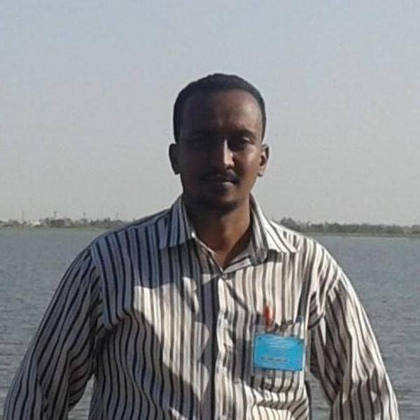 Emad Eldin Mohamed