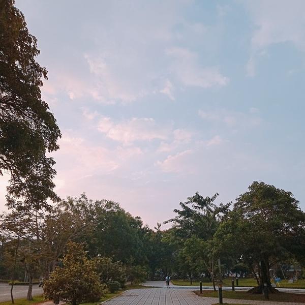 Trí Tấn (Tristan Lee)